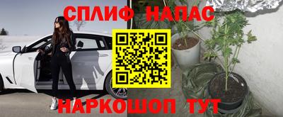mdma Новозыбков