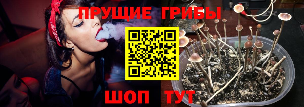 Рославль  Галлюциногенные грибы мухоморы  Псилоцибиновые грибы GOLDEN TEACHER  Вход с VPN 